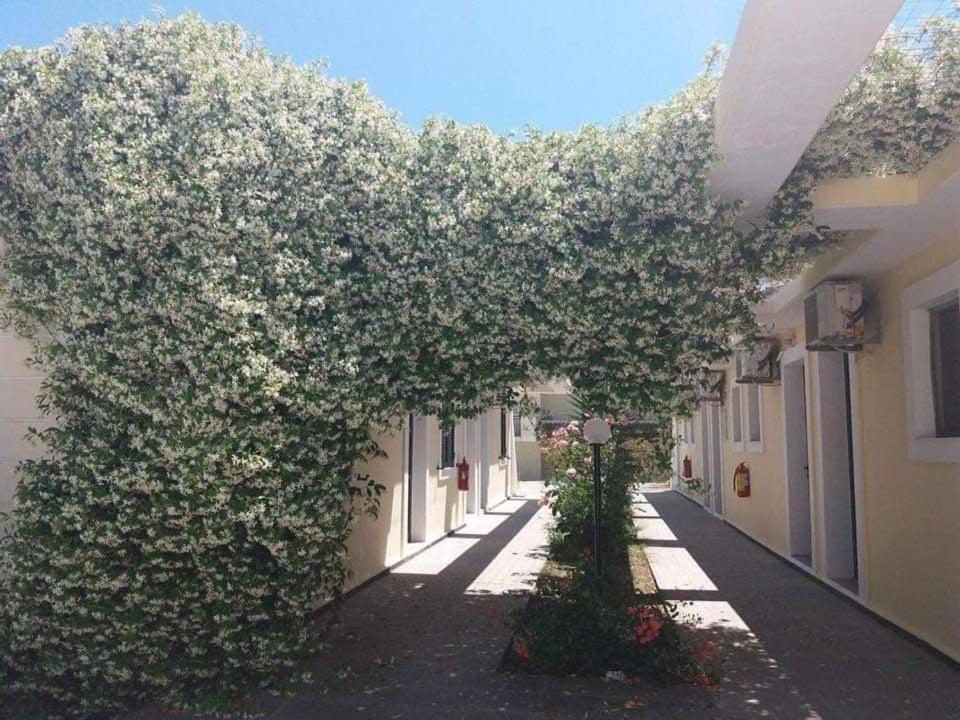 Monika Hotel Sidari Sidari  Luaran gambar